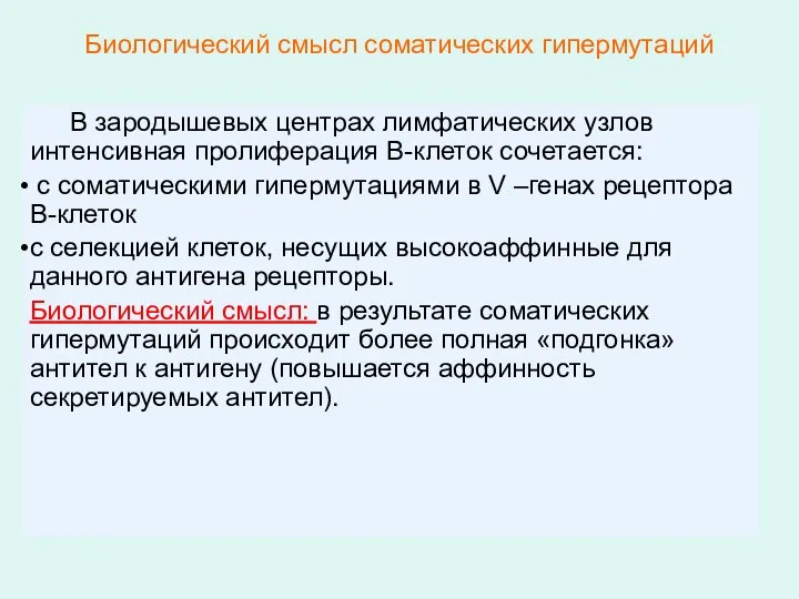 Биологический смысл соматических гипермутаций В зародышевых центрах лимфатических узлов интенсивная пролиферация