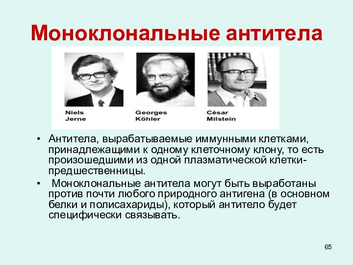 Моноклональные антитела Антитела, вырабатываемые иммунными клетками, принадлежащими к одному клеточному клону,