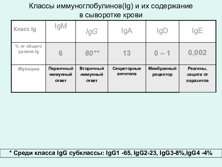 Классы иммуноглобулинов(Ig) и их содержание в сыворотке крови * Cреди класса