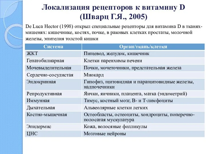 Локализация рецепторов к витамину D (Шварц Г.Я., 2005) De Luca Hector