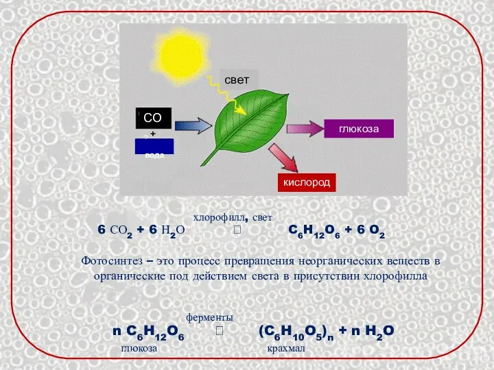 Фотосинтез – это процесс превращения неорганических веществ в органические под действием