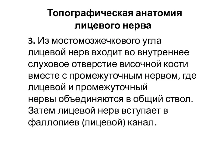 Топографическая анатомия лицевого нерва 3. Из мостомозжечкового угла лицевой нерв входит