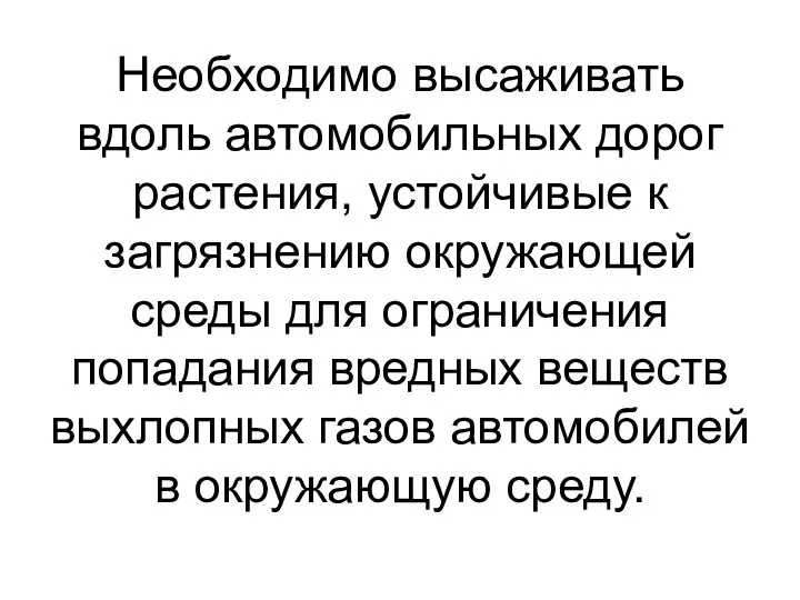 Необходимо высаживать вдоль автомобильных дорог растения, устойчивые к загрязнению окружающей среды