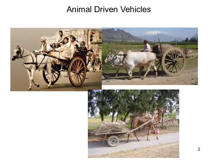 Animal Driven Vehicles