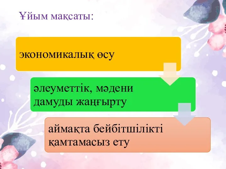 Ұйым мақсаты: