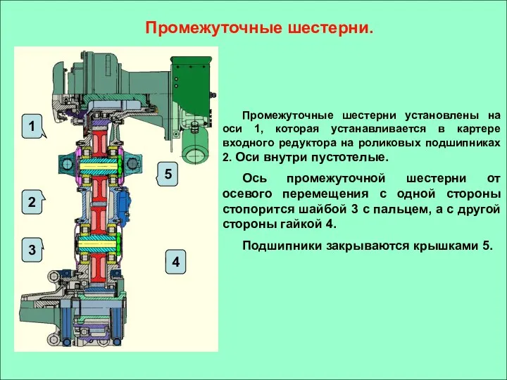 Промежуточные шестерни. Промежуточные шестерни установлены на оси 1, которая устанавливается в