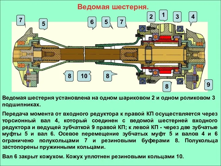 Ведомая шестерня. Ведомая шестерня установлена на одном шариковом 2 и одном