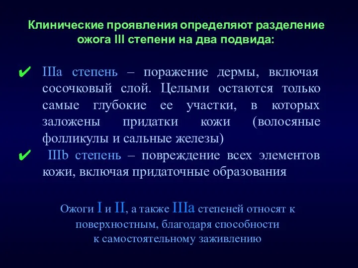 IIIа степень – поражение дермы, включая сосочковый слой. Целыми остаются только