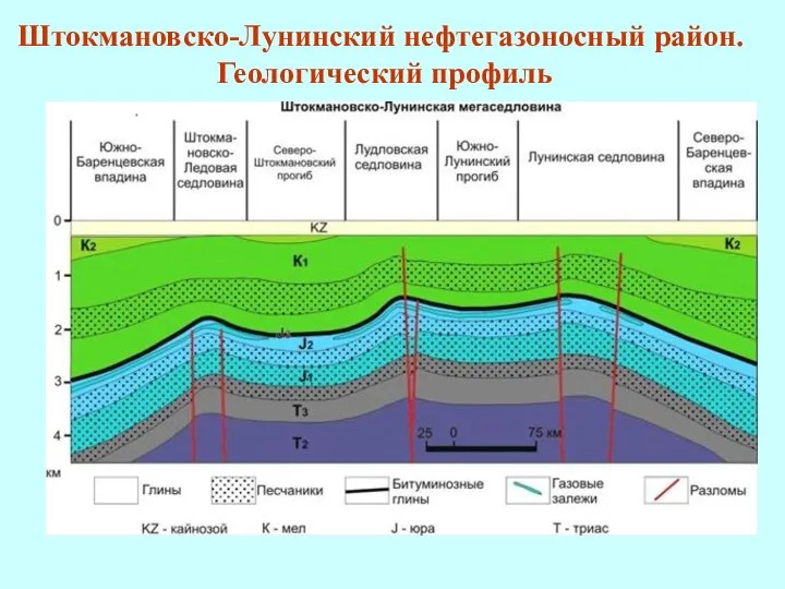 Штокмановско-Лунинский нефтегазоносный район. Геологический профиль
