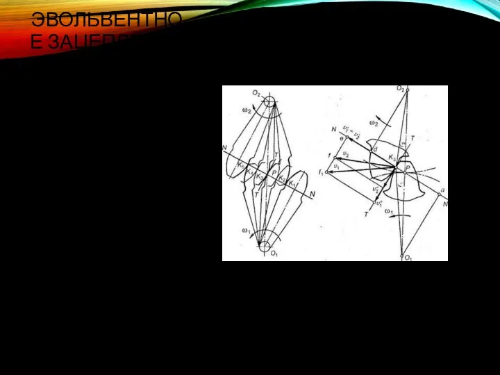ЭВОЛЬВЕНТНОЕ ЗАЦЕПЛЕНИЕ Профили зубьев должны быть т, чтобы их можно было