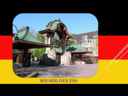 DER BERLINER ZOO