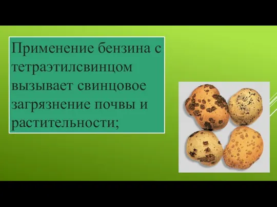 Применение бензина с тетраэтилсвинцом вызывает свинцовое загрязнение почвы и растительности;