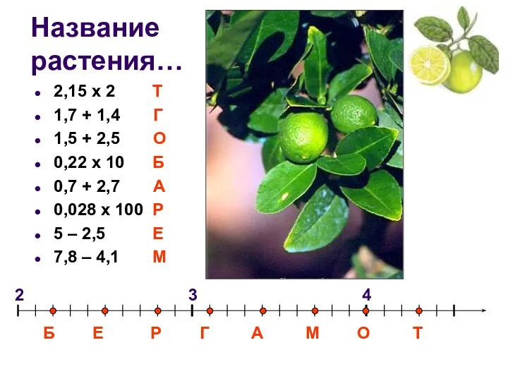 Название растения… 2,15 х 2 Т 1,7 + 1,4 Г 1,5