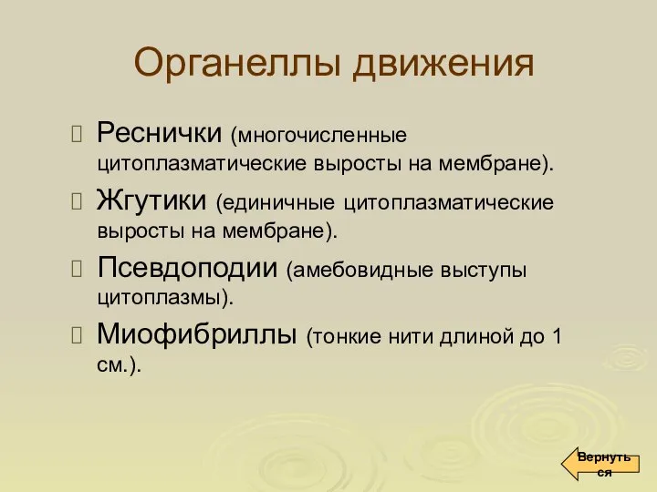 Органеллы движения Реснички (многочисленные цитоплазматические выросты на мембране). Жгутики (единичные цитоплазматические