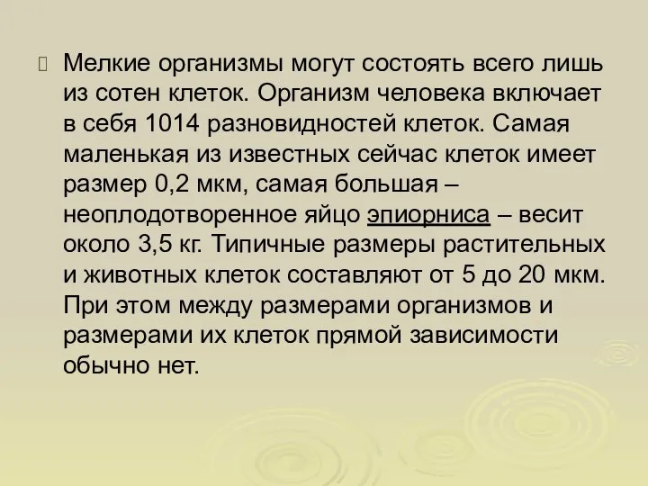 Мелкие организмы могут состоять всего лишь из сотен клеток. Организм человека