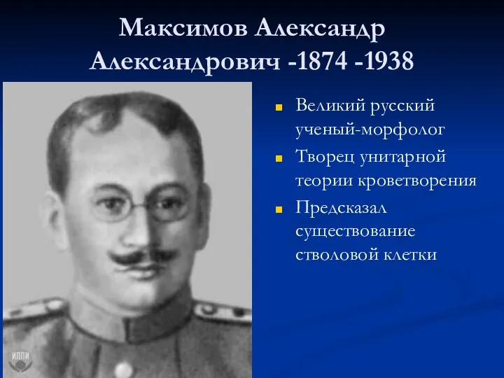 Максимов Александр Александрович -1874 -1938 Великий русский ученый-морфолог Творец унитарной теории кроветворения Предсказал существование стволовой клетки