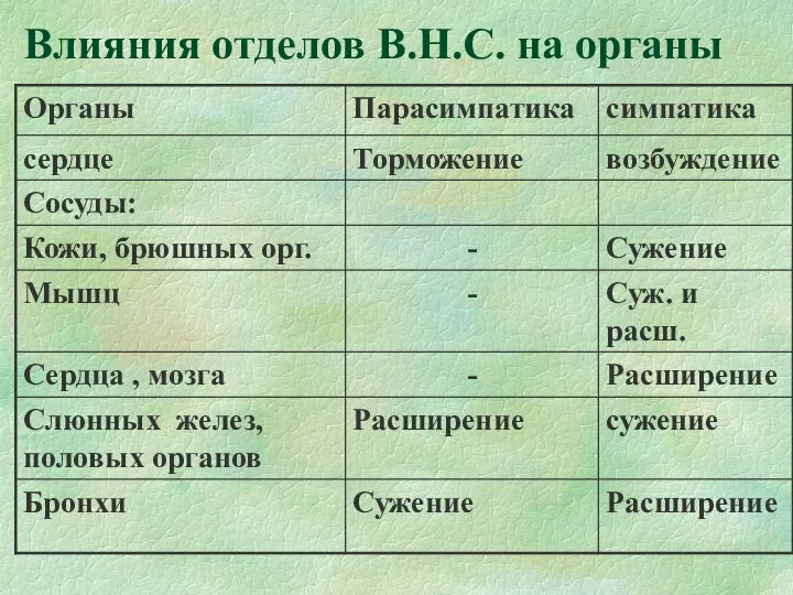 Влияния отделов В.Н.С. на органы