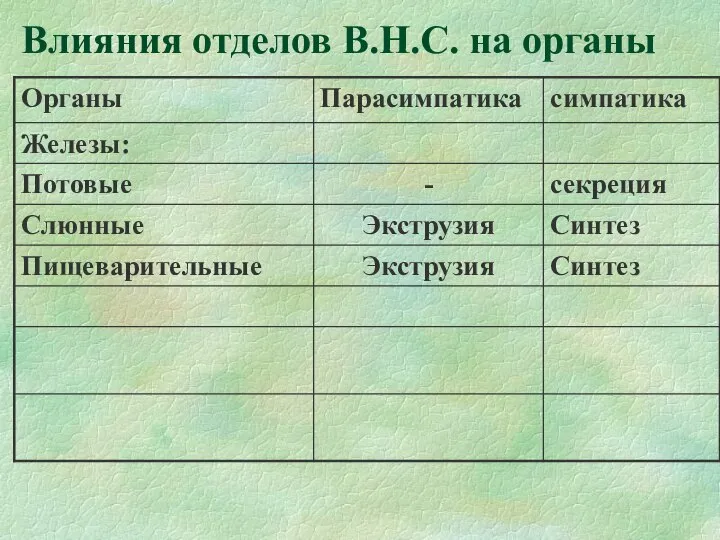 Влияния отделов В.Н.С. на органы