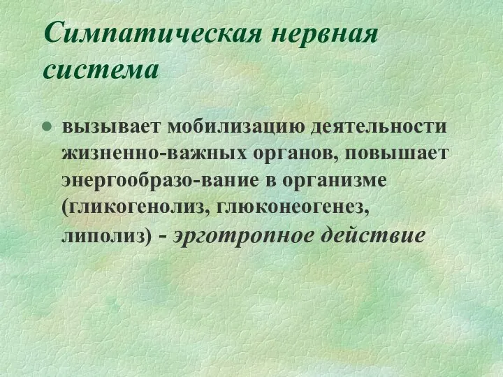 Симпатическая нервная система вызывает мобилизацию деятельности жизненно-важных органов, повышает энергообразо-вание в