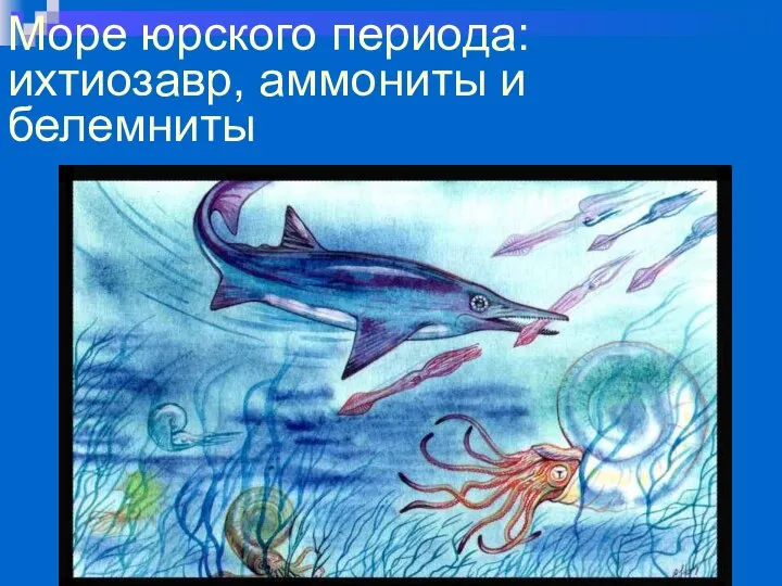 Море юрского периода: ихтиозавр, аммониты и белемниты