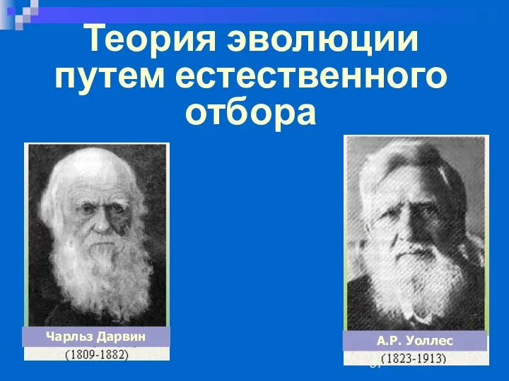 Теория эволюции путем естественного отбора Чарльз Дарвин А.Р. Уоллес