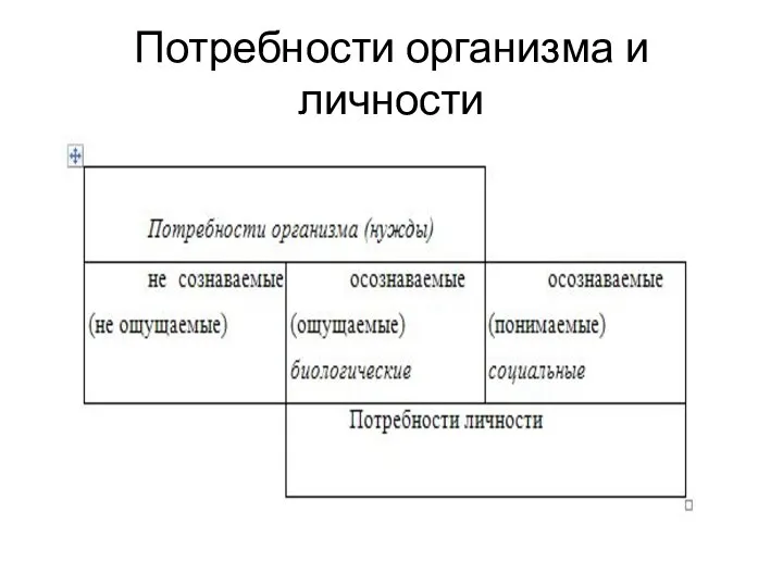 Потребности организма и личности