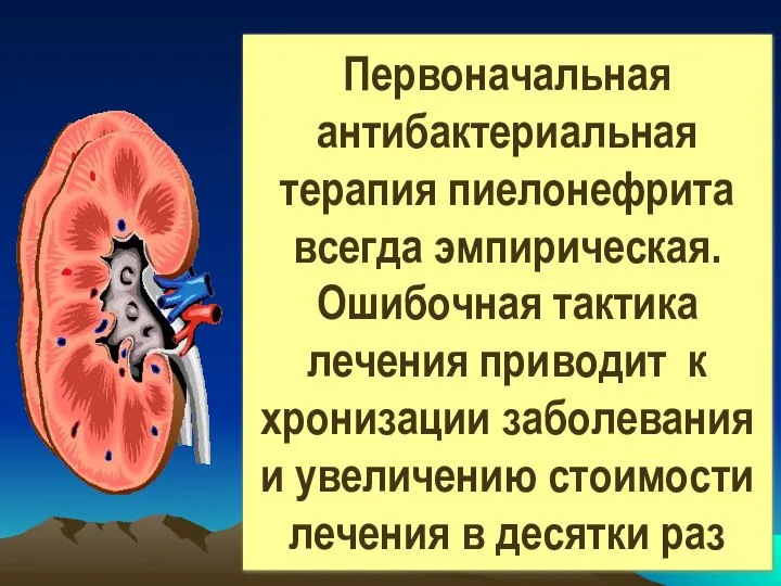 Первоначальная антибактериальная терапия пиелонефрита всегда эмпирическая. Ошибочная тактика лечения приводит к