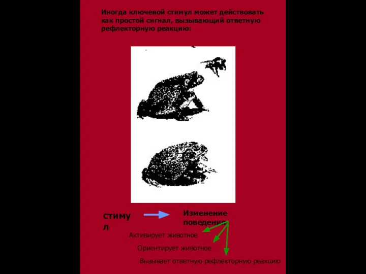 Иногда ключевой стимул может действовать как простой сигнал, вызывающий ответную рефлекторную