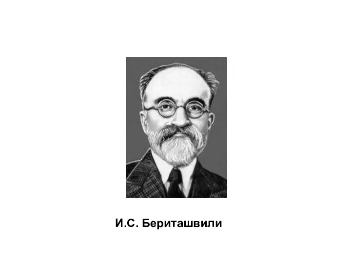 И.С. Бериташвили