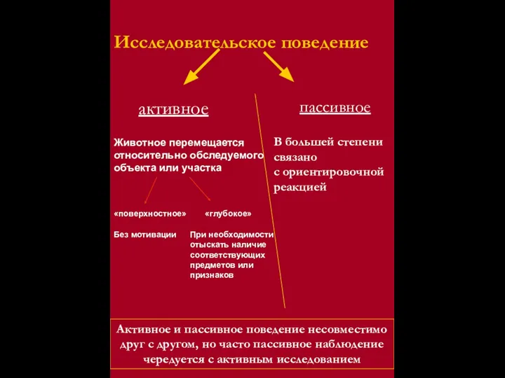 Исследовательское поведение активное пассивное Активное и пассивное поведение несовместимо друг с