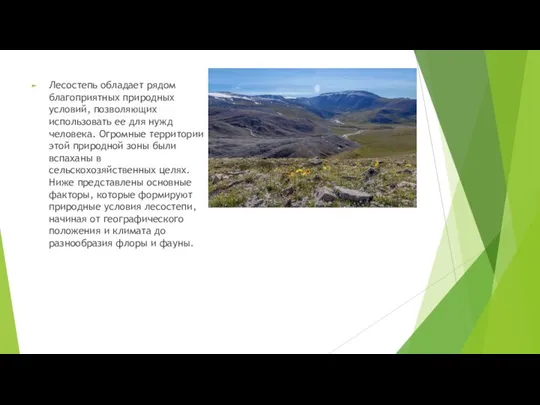Лесостепь обладает рядом благоприятных природных условий, позволяющих использовать ее для нужд