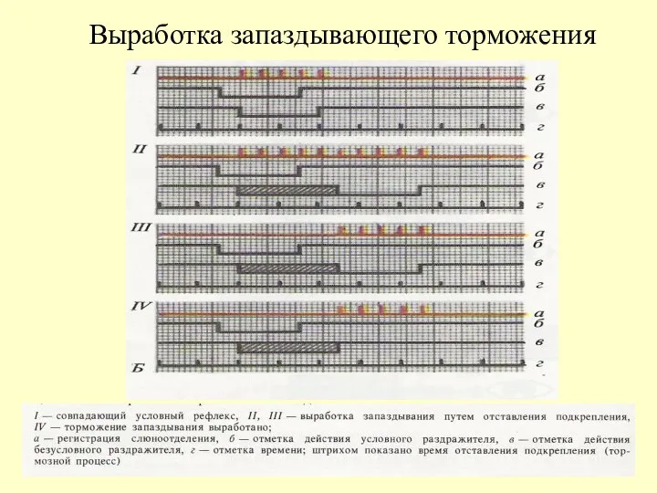 Выработка запаздывающего торможения