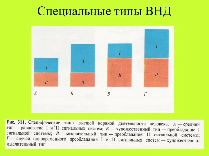 Специальные типы ВНД