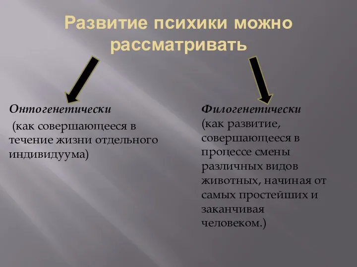 Развитие психики можно рассматривать Онтогенетически (как совершающееся в течение жизни отдельного