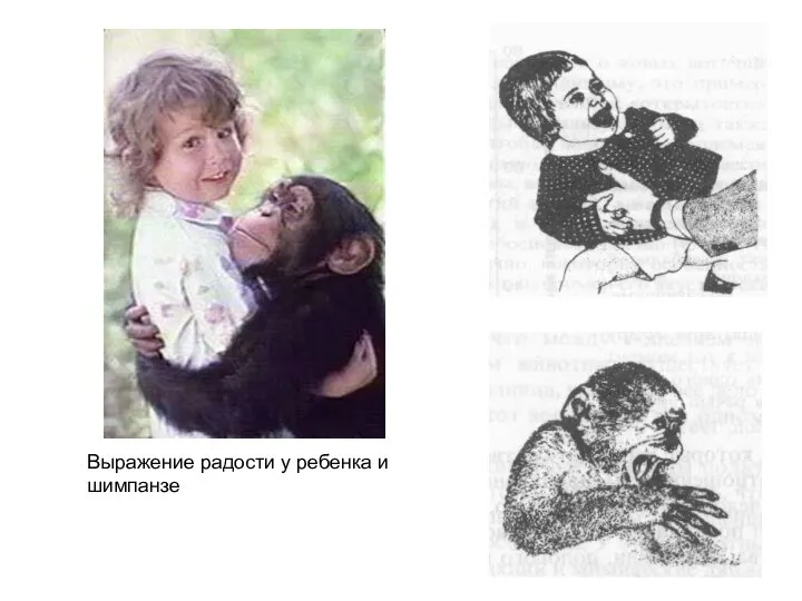 Выражение радости у ребенка и шимпанзе