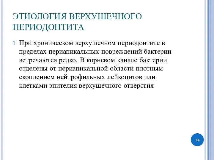 ЭТИОЛОГИЯ ВЕРХУШЕЧНОГО ПЕРИОДОНТИТА При хроническом верхушечном периодонтите в пределах периапикальных повреждений