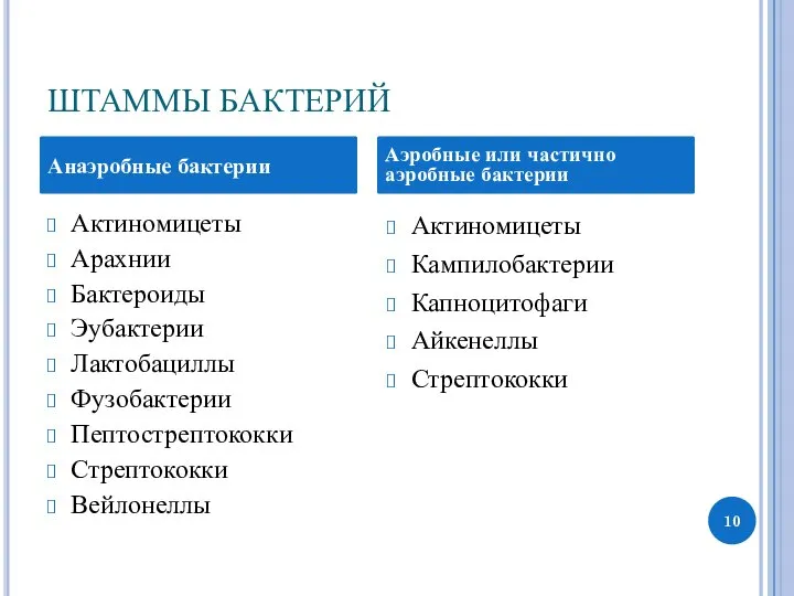 ШТАММЫ БАКТЕРИЙ Актиномицеты Арахнии Бактероиды Эубактерии Лактобациллы Фузобактерии Пептострептококки Стрептококки Вейлонеллы