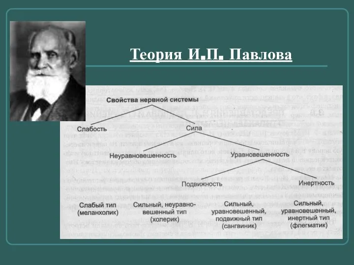 Теория И.П. Павлова