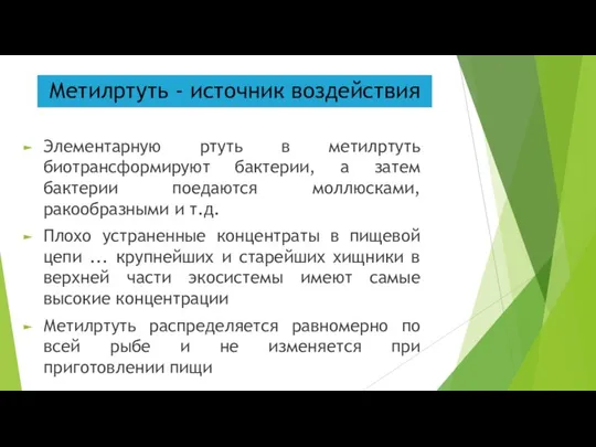 Метилртуть - источник воздействия Элементарную ртуть в метилртуть биотрансформируют бактерии, а