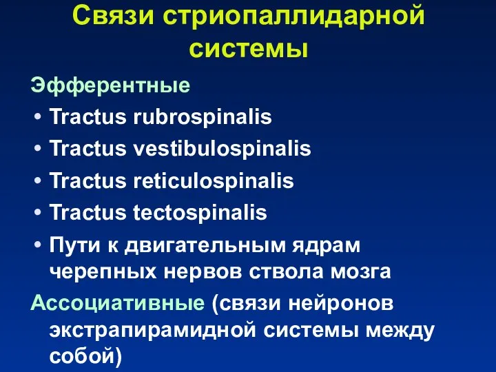 Связи стриопаллидарной системы Эфферентные Tractus rubrospinalis Tractus vestibulospinalis Tractus reticulospinalis Tractus