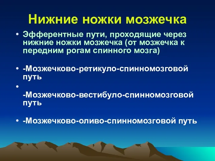 Нижние ножки мозжечка Эфферентные пути, проходящие через нижние ножки мозжечка (от