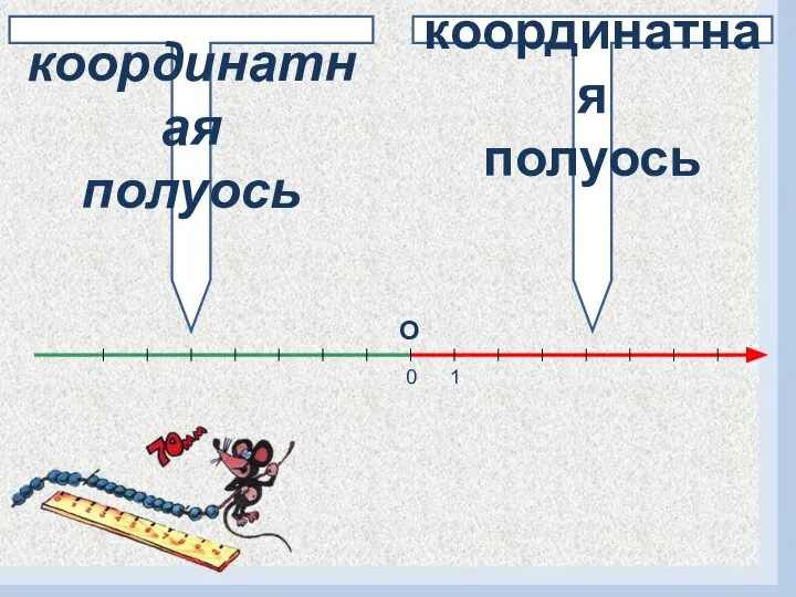 Отрицательная координатная полуось Положительная координатная полуось