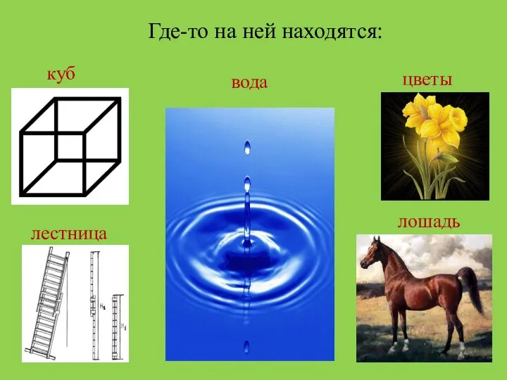 Где-то на ней находятся: куб лестница цветы лошадь вода