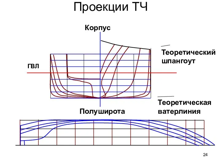 Проекции ТЧ Теоретический шпангоут Теоретическая ватерлиния ГВЛ Корпус Полуширота