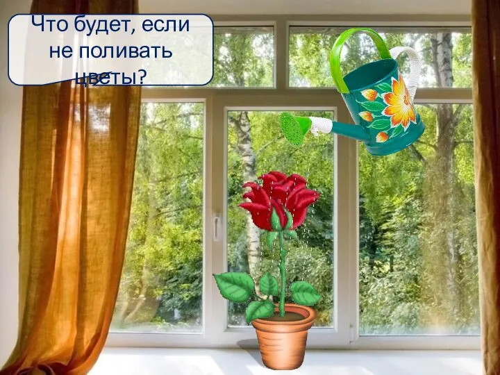 Что будет, если не поливать цветы?