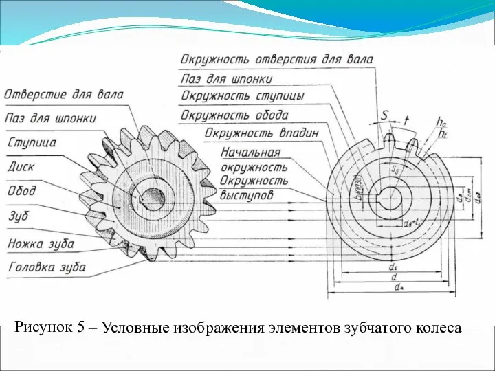 Рисунок 5 – Условные изображения элементов зубчатого колеса