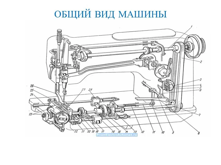 ОБЩИЙ ВИД МАШИНЫ