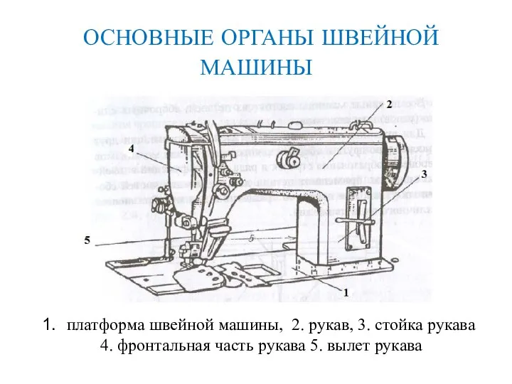 ОСНОВНЫЕ ОРГАНЫ ШВЕЙНОЙ МАШИНЫ платформа швейной машины, 2. рукав, 3. стойка