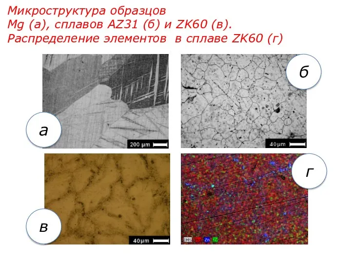 Микроструктура образцов Mg (a), сплавов AZ31 (б) и ZK60 (в). Распределение