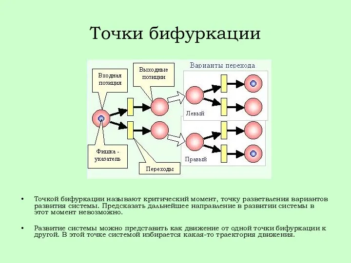 Точки бифуркации Точкой бифуркации называют критический момент, точку разветвления вариантов развития